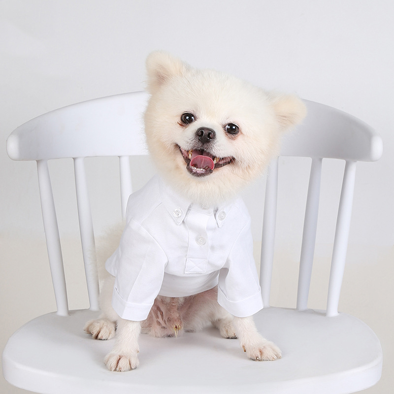Summer Dog Clothing - ペットの寝袋,多用途,スリムな犬の服,ブティック,トレンディ,春秋