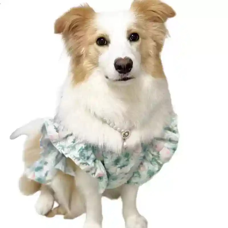 Summer Dog Clothing - ペット服 春と夏 かわいい中型犬・大型犬用服 ペット服 花柄プリンセススカート 真夏の花柄