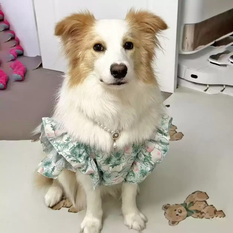 ペット服 春と夏 かわいい中型犬・大型犬用服 ペット服 花柄 - Summer Dog Clothing のレビューと価格