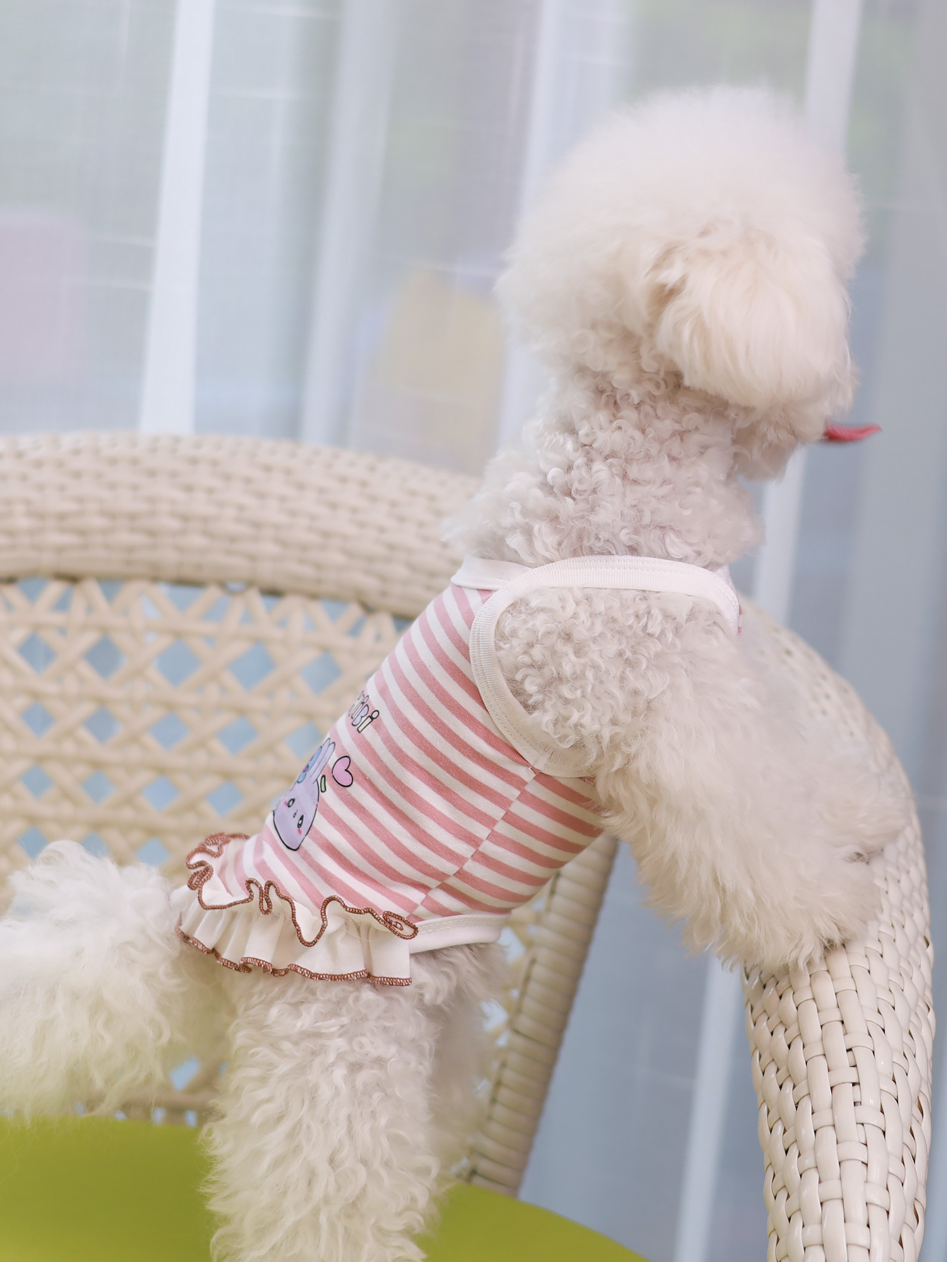 犬用ベスト、夏用通気性の良い薄手素材のペット服、夏スタイルの - Summer Clothing Material のレビューと価格