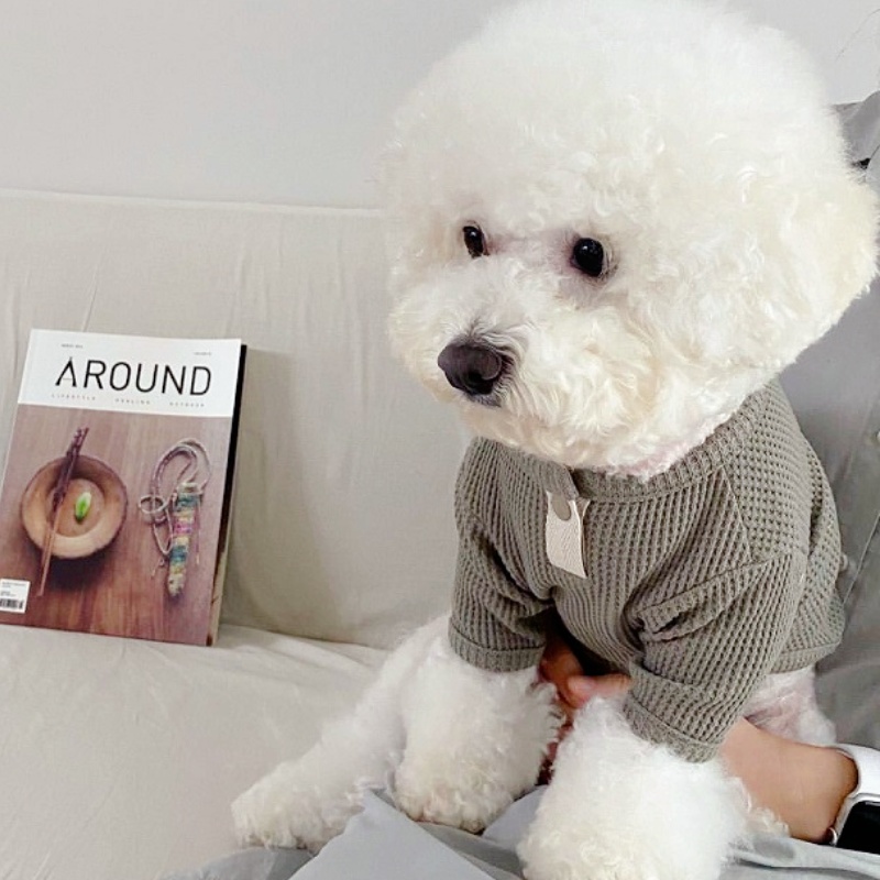 夏ペットシャツ固体犬 Tシャツ小中犬用ベストチワワフレンチブ - Summer Dog Clothing のレビューと価格
